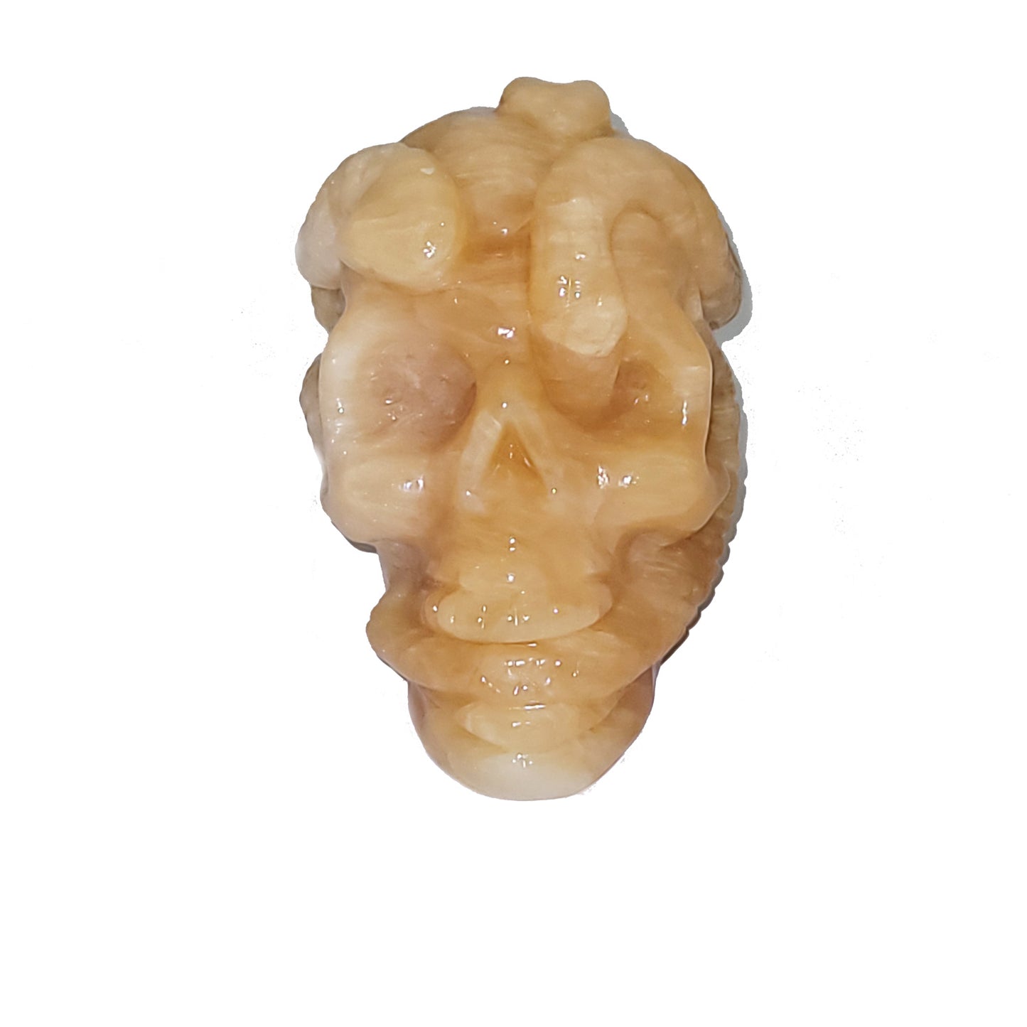 Honey Calcite Skull with Snakes