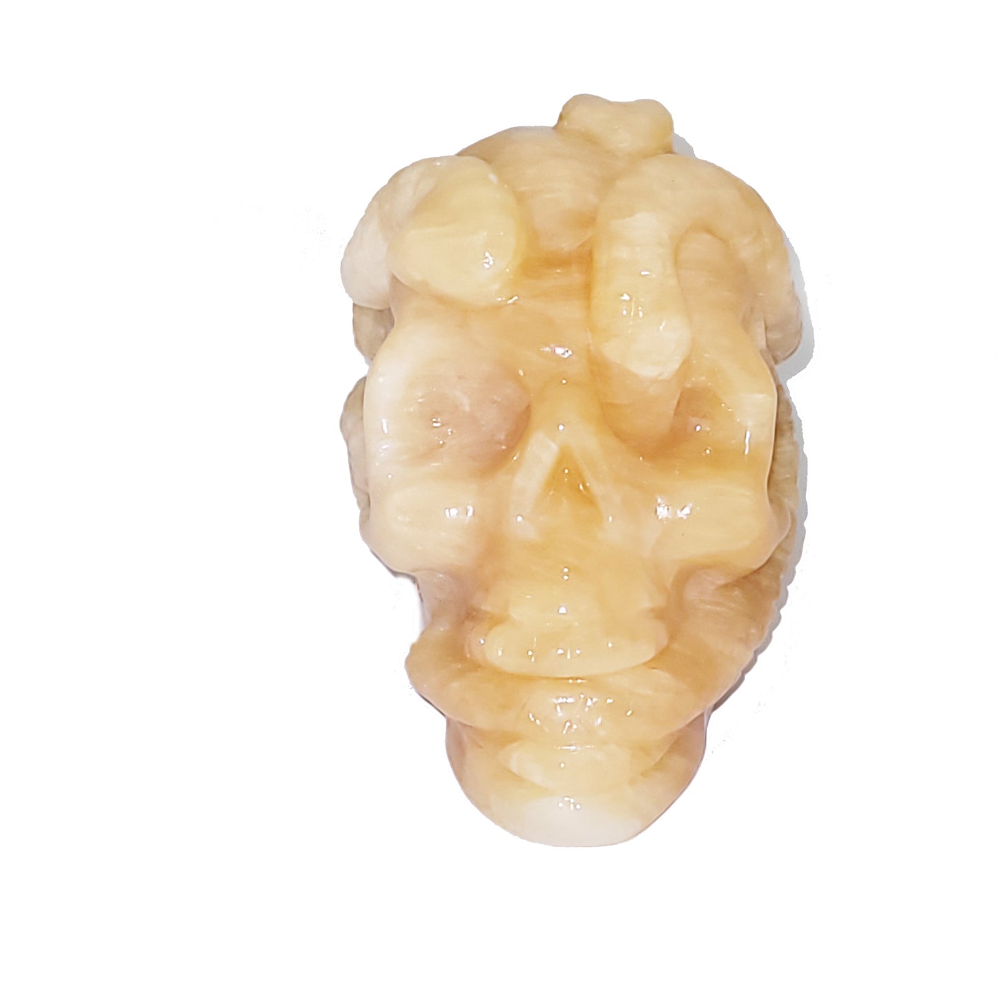 Honey Calcite Skull with Snakes