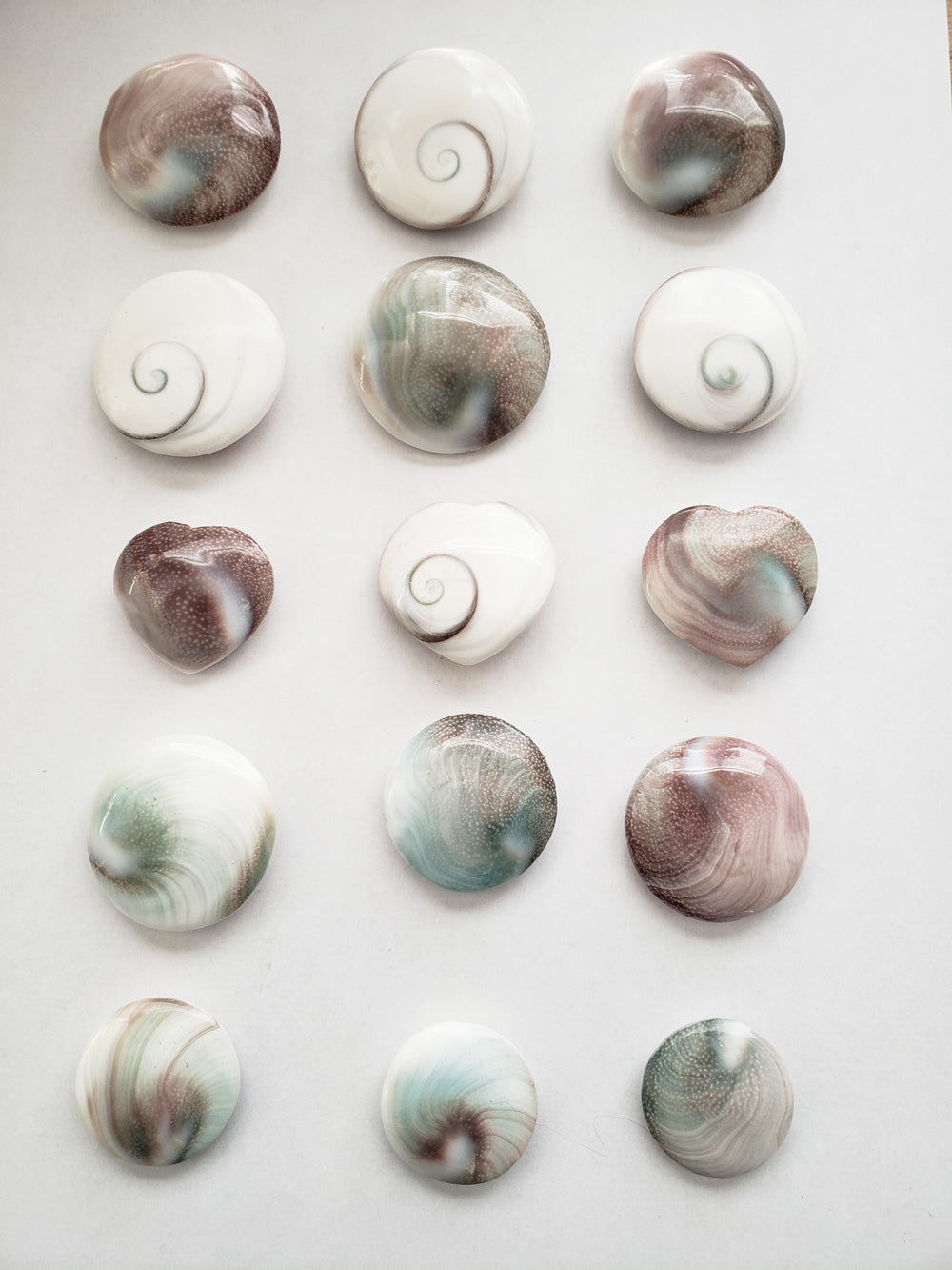 Round Shiva Shells