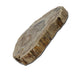 PETRIFIED WOOD SLICE FOR SALE