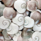Shiva Eye Hearts Shells