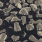 bulk black obsidian mushrooms