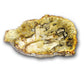 petrified wood slabs for sale