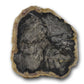 Bulk petrified wood slices