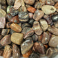 Bulk petrified wood tumbled