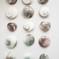 Round Shiva Shells